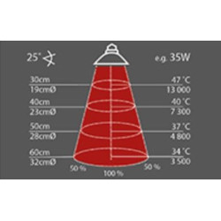 REPTI PLANET žárovka Halogen Sun 25 W