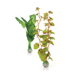 biOrb klejichy sada M zelená