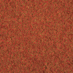 Krmivo TetraPro Colour 100 ml