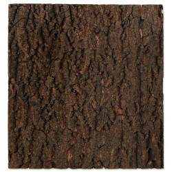 Pozadí REPTI PLANET korek přírodní 43,5 x 41 cm