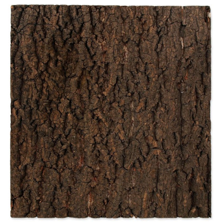 Pozadí REPTI PLANET korek přírodní 43,5 x 41 cm