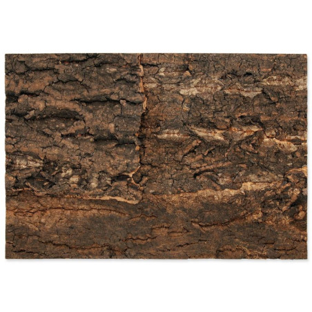 Pozadí REPTI PLANET korek přírodní 28,5 x 41 cm