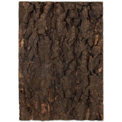 Pozadí REPTI PLANET korek přírodní 28,5 x 41 cm