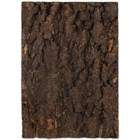 Pozadí REPTI PLANET korek přírodní 28,5 x 41 cm