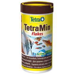 TetraMin Flakes 100ml