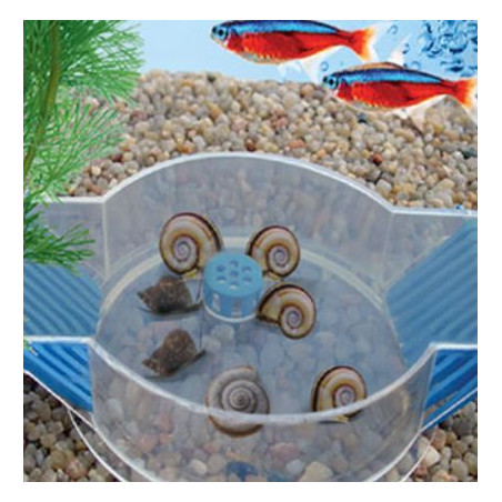 Snail trap - past na šneky