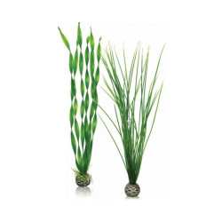 Rostlina BiOrb Easy plant set large green