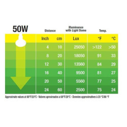 bodová žárovka Daylight Basking Spot 50 W