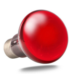 Infračervená žárovka ReptiZoo 50W