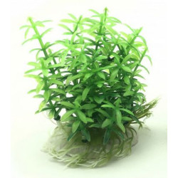 Rostlina do akvária UP Aqua A