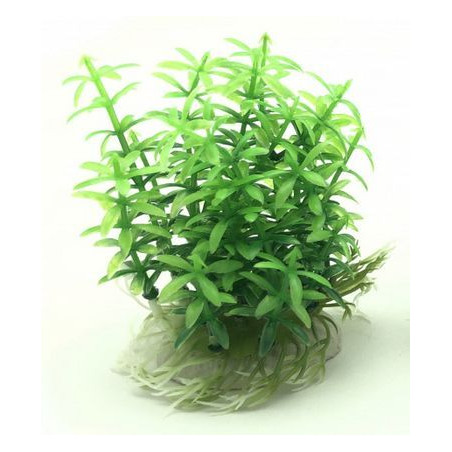 Rostlina do akvária UP Aqua A