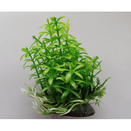 Rostlina do akvária UP Aqua A