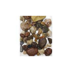 Písek akvarijní č.8 hnědý hrubý 3 kg