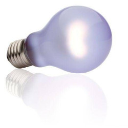 Terarijní žárovka Daytime Heat UVA 21 100 W