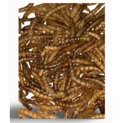 Krmivo APETIT moučný červ 500g