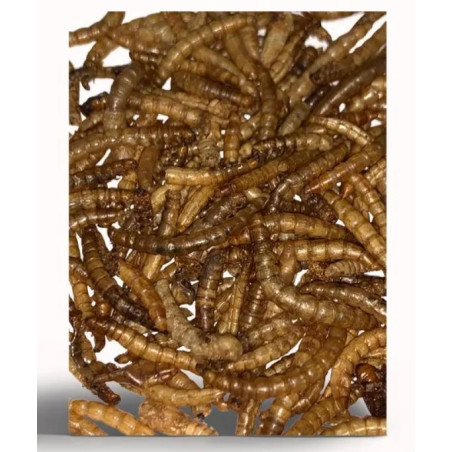 Krmivo APETIT moučný červ 500g