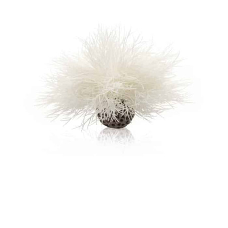 biOrb rostlina mořská lilie bílá