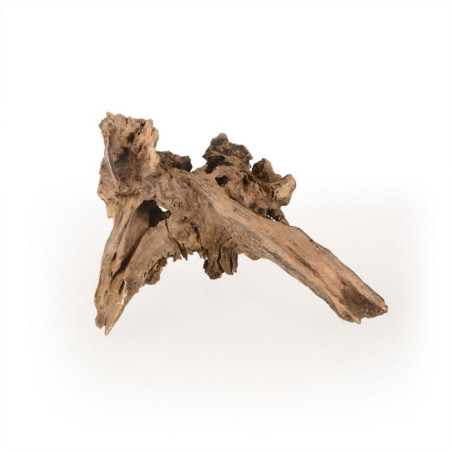 Light Driftwood S