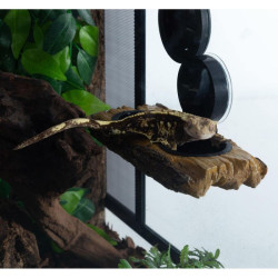 ReptiZoo Rampa pro želvy a stromové krmítko 2v1