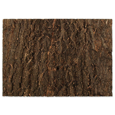 Pozadí REPTI PLANET korek přírodní 58,5 x 41 cm