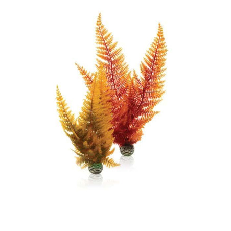 biOrb podzimních kapradí 2 ks