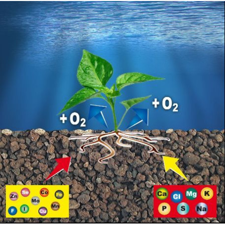 Prodac Fertil Plant 1,8 kg