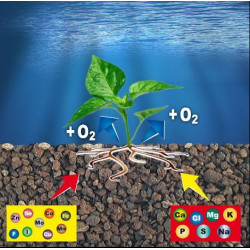 Prodac Fertil Plant 3,2kg