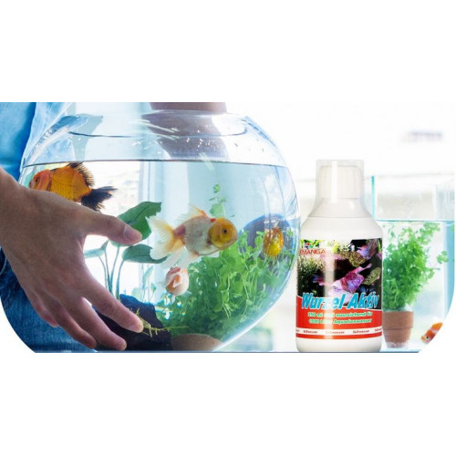 Femanga odstranění šneků z akvária