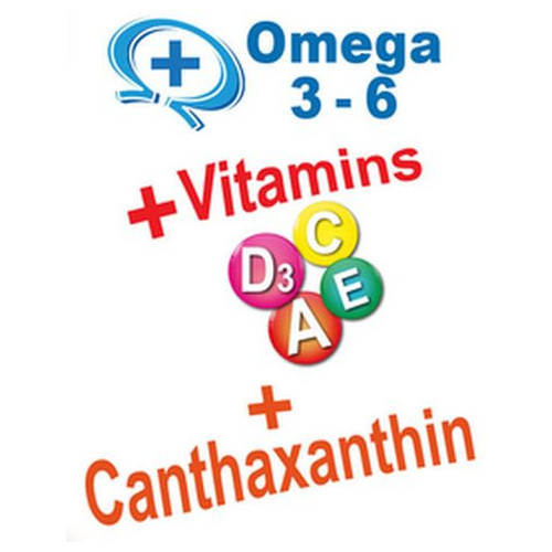 Prodac Betta food 100 ml