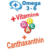 Prodac Betta food 100 ml