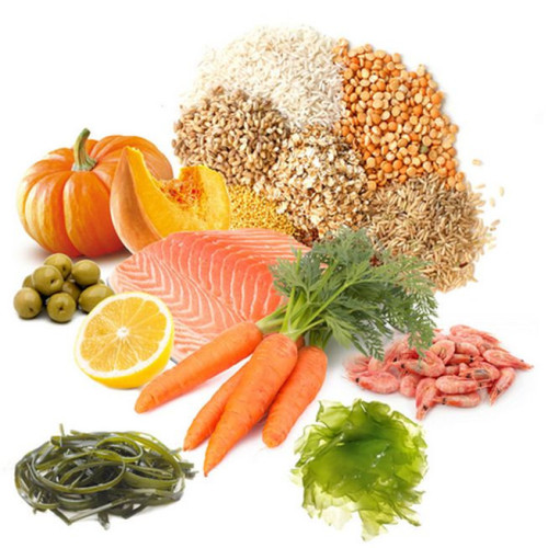 Prodac Betta food 100 ml