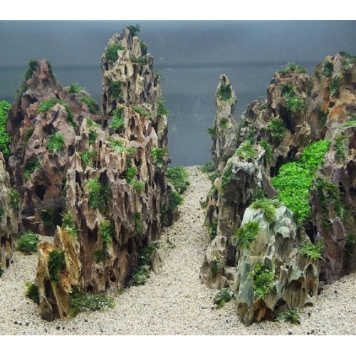 Dekorace do akvárií PO-042