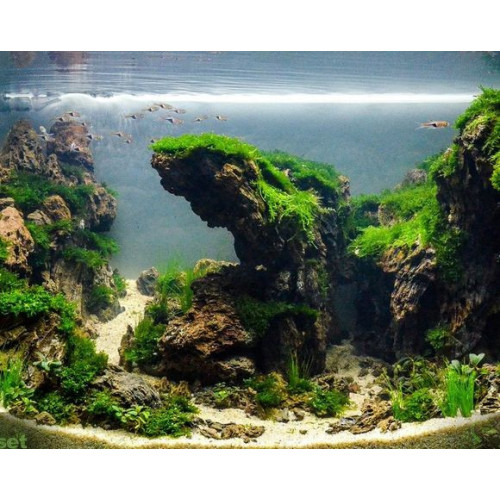 Dekorace do akvárií PO-042