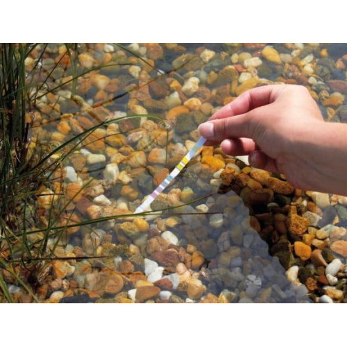 Prodactest Speedy test 7 v 1