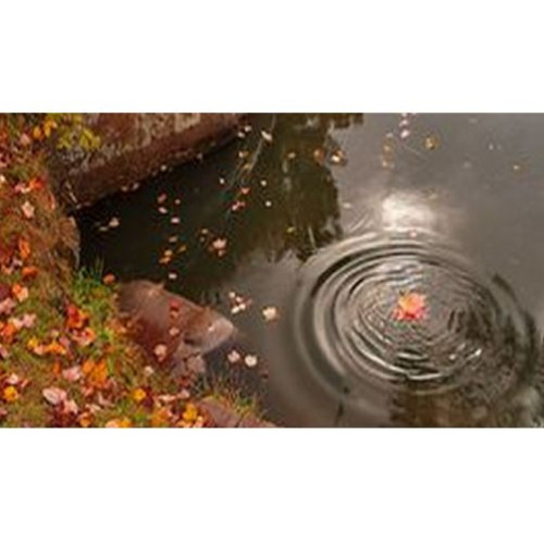 VT krycí síť 4x4m