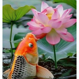 Nymfavit 450g - pro dlouhodobé hnojení leknínů