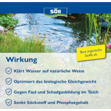 Dr. Roths TeichKlar SÖLL - bakterie