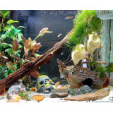 dekorace do akvária vrak lodi