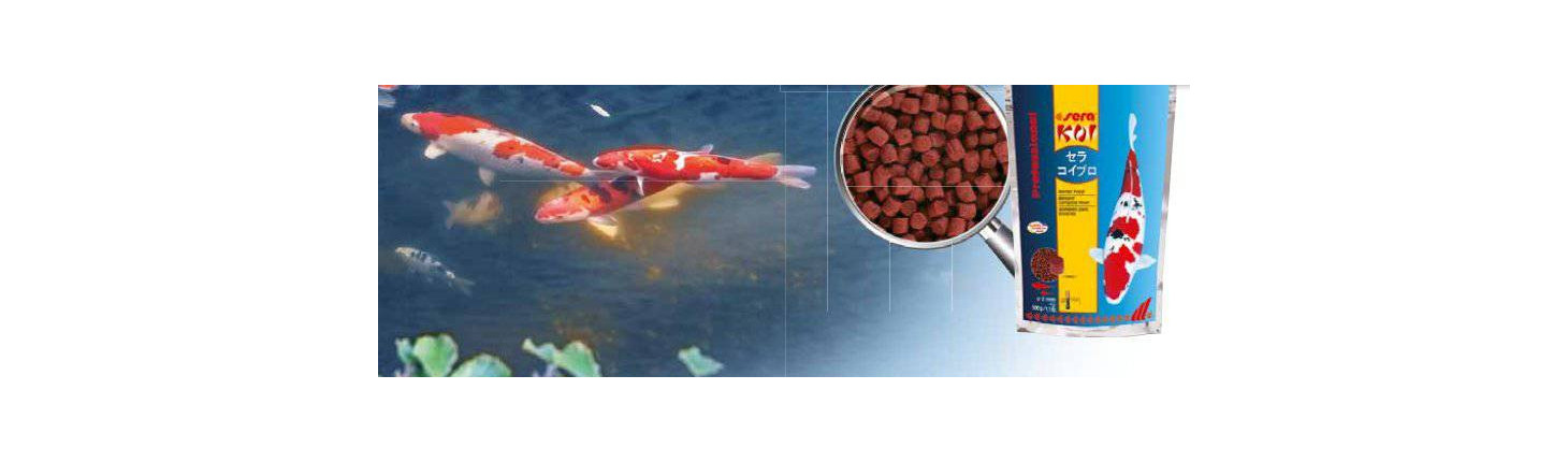 Japonská krmiva KOI