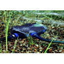 Čerpadla pro jezírka 6001-8000 l/h