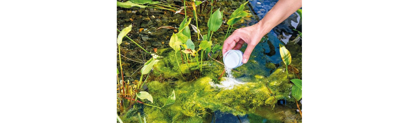 Řasy, bahno, úprava, testy vody v jezírku