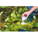 Odstranění řas z jezírka