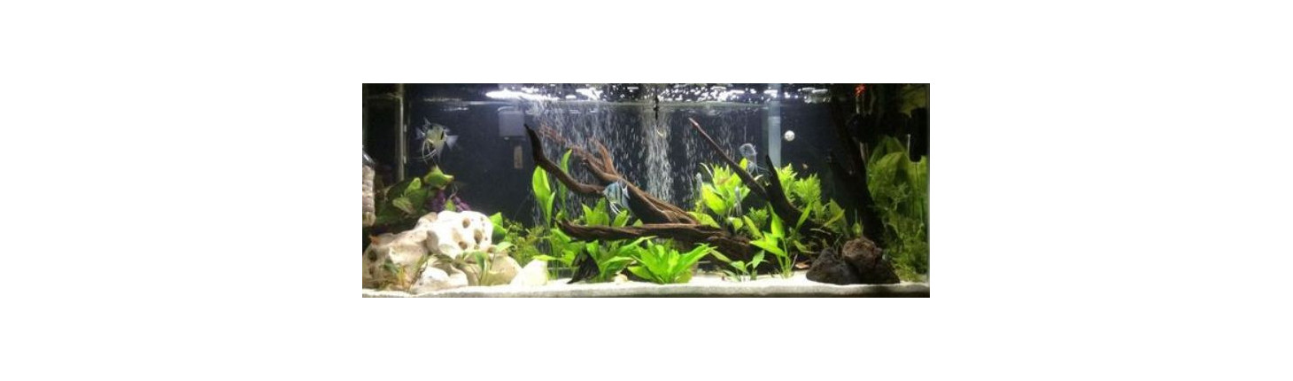 Akvária a akvarijní sety