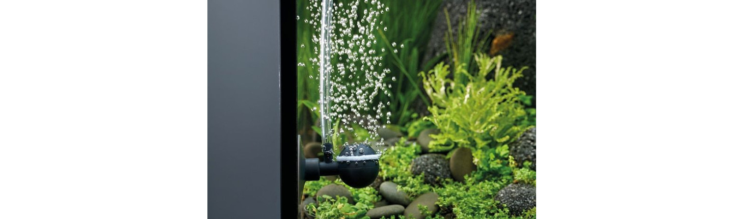 Vzduchování akvária