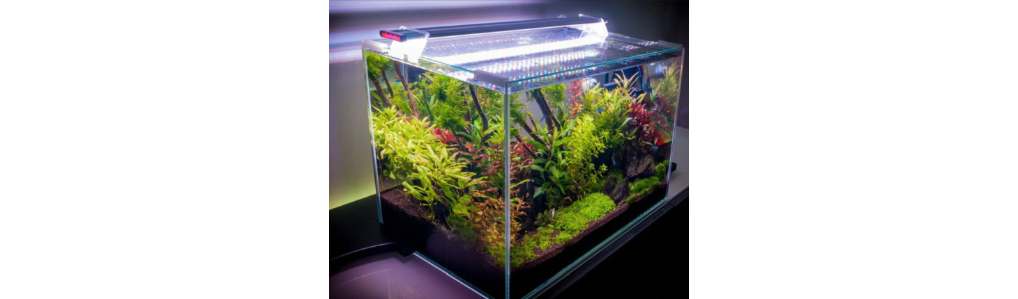LED osvětlení akvária