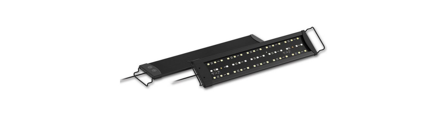 Osvětlení terárií | LED, UVA a UVB žárovky pro plazy