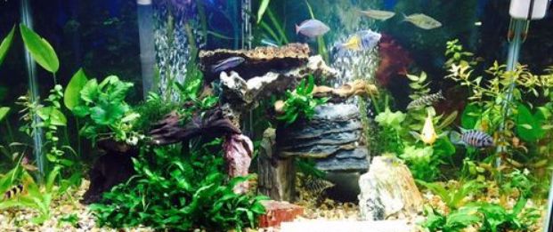 vzduchování do akvária YE-911