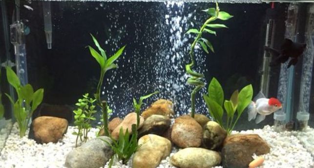 Resun motůrky na vzduchování