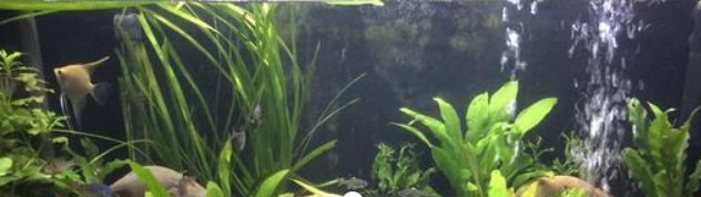 bateriové vzduchování akvária