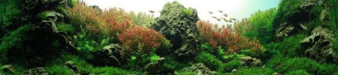 Jingye velmi levná akvarijní topítka